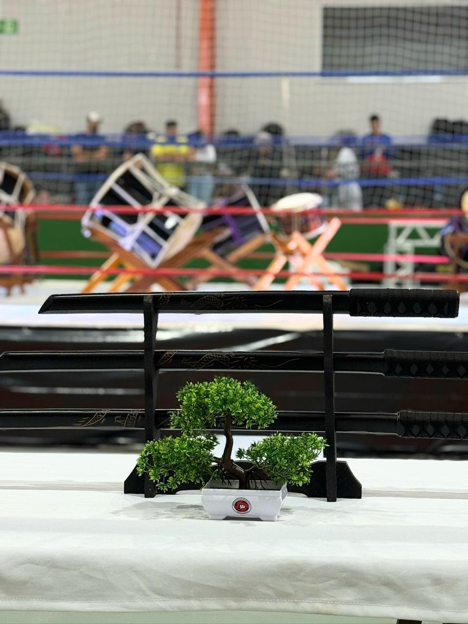 Foto Daido Karatê